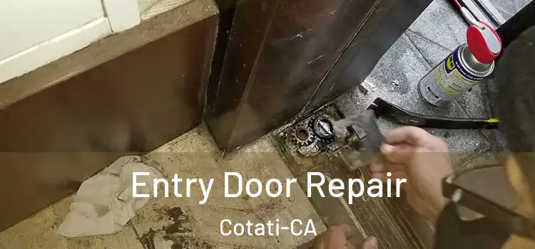  Entry Door Repair Cotati-CA