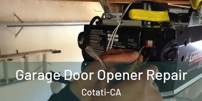  Garage Door Opener Repair Cotati-CA