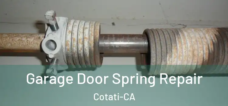  Garage Door Spring Repair Cotati-CA
