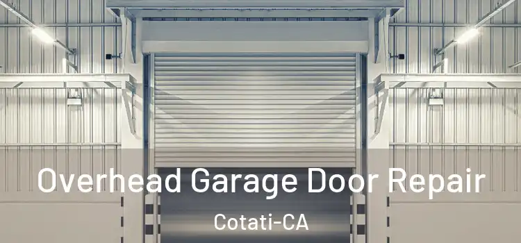  Overhead Garage Door Repair Cotati-CA